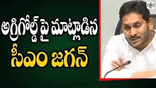 CM Jagan Talks about Agrigold Scheme | Jagan Agrigold Scheme Latest News | AP News | ALO TV