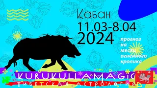 Прогноз для кабанов в месяц огненного кролика с 11 марта по 8 апреля.