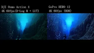 【Scuba Diving】GoPro Hero 12 vs DJI Osmo Action 4 【水中比較】