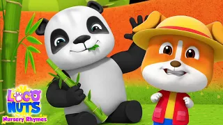 Zoo Song | Zoo Animals for Kids | Nursery Rhymes and Children Song | Songs For Babies with Loco Nuts