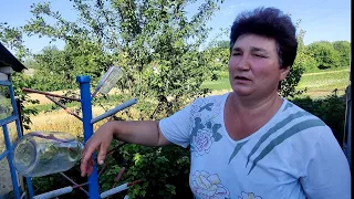 Украинское село🌻Консервный завод не останавливается🌻Идём по воду к бабе Оле