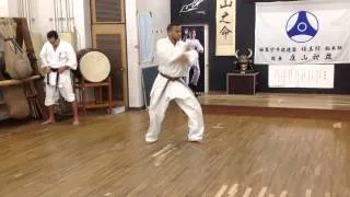 Kyokushinkan - Ju no Kata sono ni