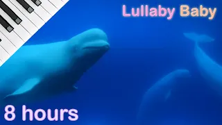 ☆ 8 HOURS ☆ Relaxing PIANO & UNDERWATER Sounds ♫ ☆ NO ADS ☆ Soothing Music with Beluga Whales