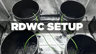 How to Setup a RDWC System- PA Hydroponics Stirponic 4 Bucket System Installation Troubleshooting