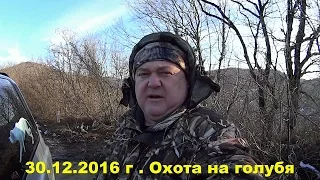 Охота на голубя | Охота на вяхиря | сезон 2016 | Лабрадор ритривер 30 12 2016 г. Выпуск № 2