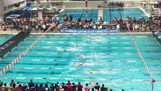 Cooper Lucas' 1:34 2 Free Takes State | Boys 200 Free A Final | 2024 6A UIL State