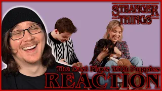 STRANGER THINGS Cast Plays with Puppies REACTION!