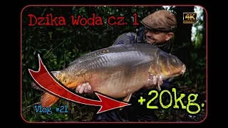 Dzika Woda cz. 1 / Vlog #21 / karp 20kg/ Boatman Actor