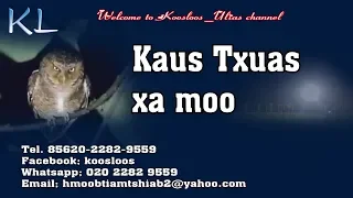 Kaus txuas xa moo 2/3/2019