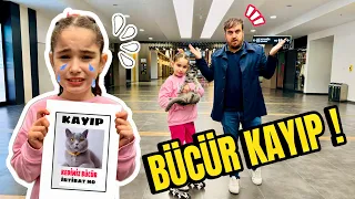 KEDİMİZ BÜCÜRÜ KAYBETTİK !! HER YERDE BÜCÜRÜ ARIYORUZ !! NEREDE BULUNDU ??