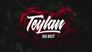 Teylan - Du bist