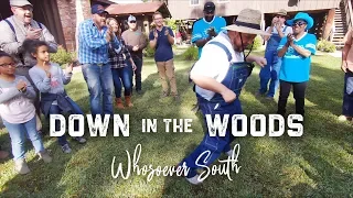 Whosoever South - Down In The Woods ( OFFICIAL MUSIC VIDEO )