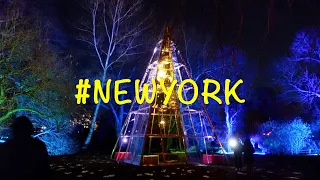 NEW YORK | HD, MERRY XMAS | THE MAGIC OF LIGHTSCAPE