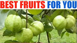 Top 15 Best Fruits for Diabetes Patients | Diabetes Control Tips