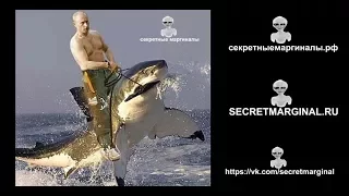 Путин и щука: рассказ очевидца