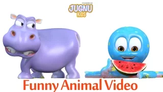 Funny Animal Video - Hippo & Octopus for Kids, Babies and Toddlers