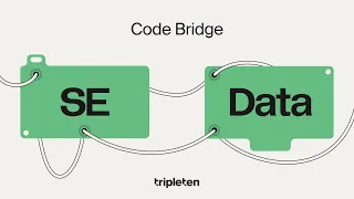 TripleTen Code Bridge: SE & Data Collaboration