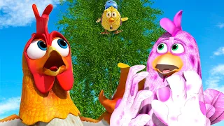 Where is The Baby Chick? - Videos for Kids