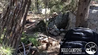 Solo Overnight: Forest Bushcraft Camp