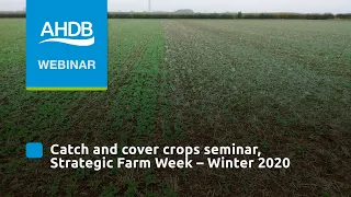 Catch and cover crops seminar – AHDB Strategic Farm Week – Winter 2020