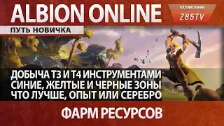 Albion Online: Путь новичка. Жёлтые и чёрные зоны, добыча т4, т5 ресурсов и правила безопасности