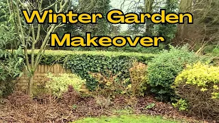 Winter Garden Transformation.  Finding FREE plants and Preparing for SPRING!