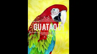 Sewa - Guataqui remix