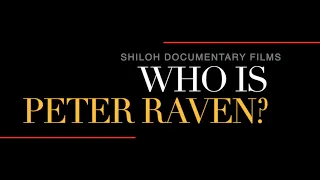 Who Is Peter Raven? Documentary Filmed In 8K - A Fascinating Reflection Of His Life & Work