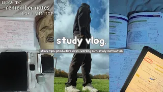 study vlog ☕️ study tips, productive days, working out, study motivation