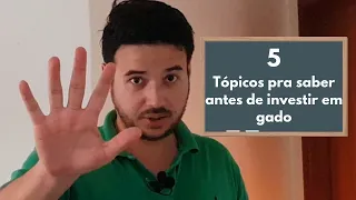 5 tópicos que você deve saber antes de investir em gado