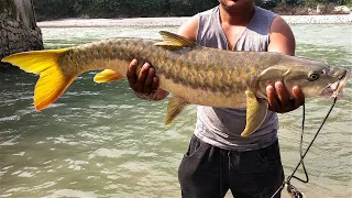 Searching for Gold - Golden Mahseer Catch and Release + Drone footage around Palpa - Nepal