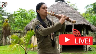 Andean Instruments Live from Nature to Clear your Mind