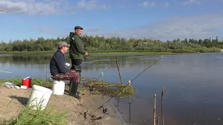 На этом повороте  под берегом рыба клюет ДУРОМ !! АДРЕНАЛИНА ХАПНУЛИ) ВХОД В СТАРИЦУ КИШИТ РЫБОЙ!