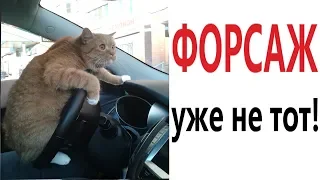 Лютые приколы. ФОРСАЖ УЖЕ НЕ ТОТ!!! Самое смешное видео! Засмеялся проиграл! – Domi Show!