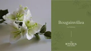 Bougainvillea Sugar Flower Tutorial (Gumpaste / Flower Paste)