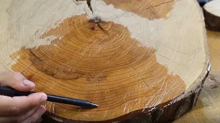 Aging of Trees:  Studying Tree Rings