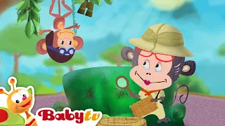 Elefante 🐘  | Animales para niños | Animales Salvajes | Episodio completo | @BabyTVSP