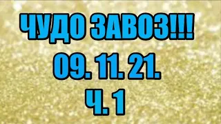 🌸Продажа орхидей. ( Завоз 09. 11. 21 г.) 1 ч. Отправка только по Украине. ЗАМЕЧТАТЕЛЬНЫЕ КРАСОТКИ👍