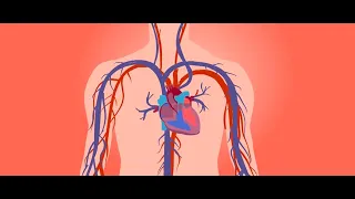 Interventional Cardiologist Explains Long-term Effects of Covid-19