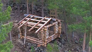 BUILT A HUT ON THE MOUNTAIN WITH WOLVES: WHAT HAPPENED NEXT - SECRETS AND UNEXPECTED FINDS