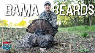 Hunting TOUGH Alabama Turkeys!!! | He FINALLY Broke