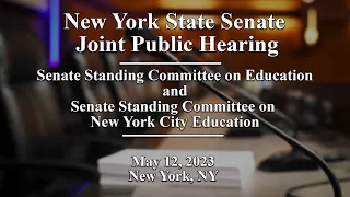 New York State Senate Joint Public Hearing - 05/12/2023