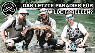 Wilde FORELLEN und ÄSCHEN 🎣❤️ aus dem schönsten Revier der Alpen