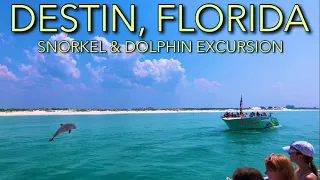 Snorkeling, Dolphins, and Whale Sharks in Destin, Florida!