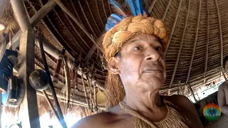 Ayahuasca en Padre Cocha, Iquitos, Peru, con un chamán indígena