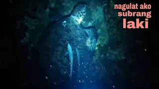 ep161, night spearfishing Philippines,subrang laki ng pawikan nagulat ako,