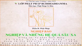 Phật Pháp Cơ Bản | Phần II: Phật Pháp - NGHIỆP BÁO - NGHIỆP VÀ NHỮNG HỆ QUẢ SÂU XA