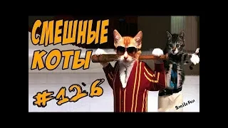 Приколы С Котами Смешные Кошки и Коты 2018 Funny Cats ДО СЛЁЗ