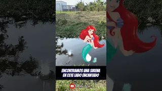 Encontramos una sirena 😱😱