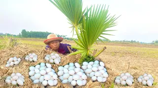 WOW WOW WOW ,Found and pick a lot of big duck egg at the field by hands of men